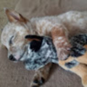 Meet your Posher, Devonne